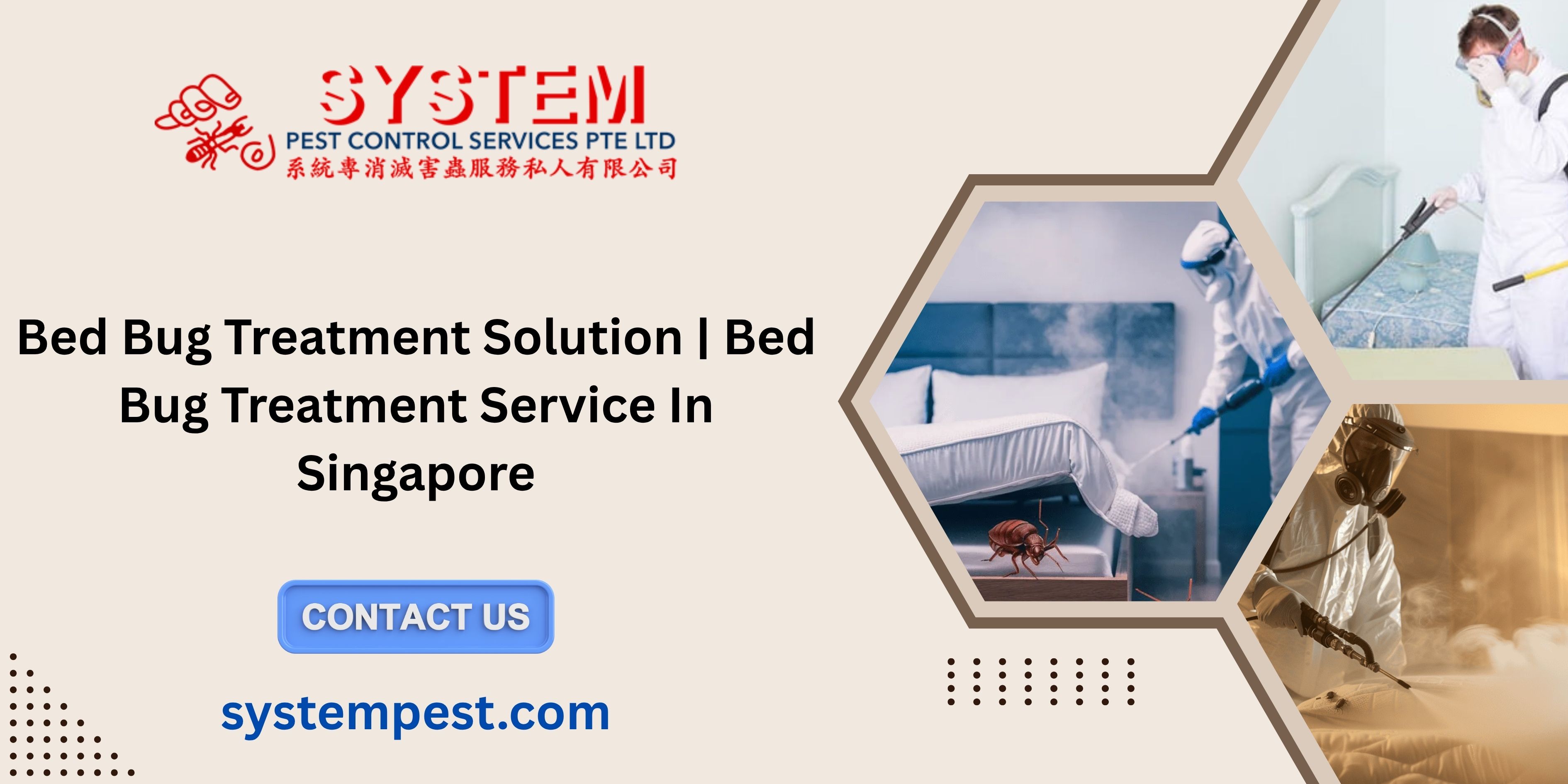 Bed Bug Treatment Solution | Bed Bug Treatment Service In Singapore